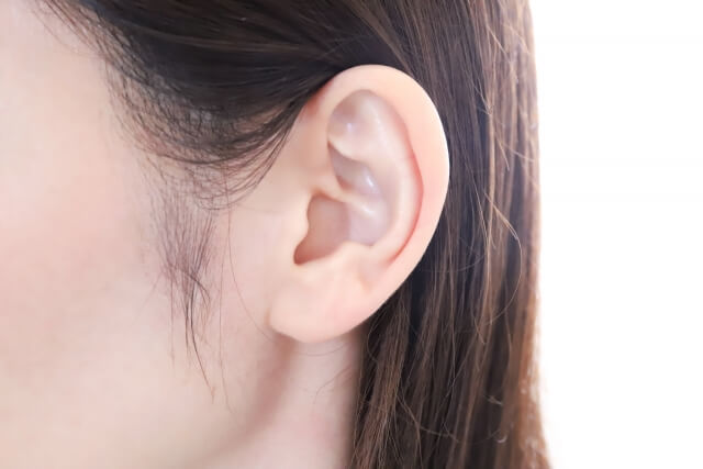 女性の耳の写真